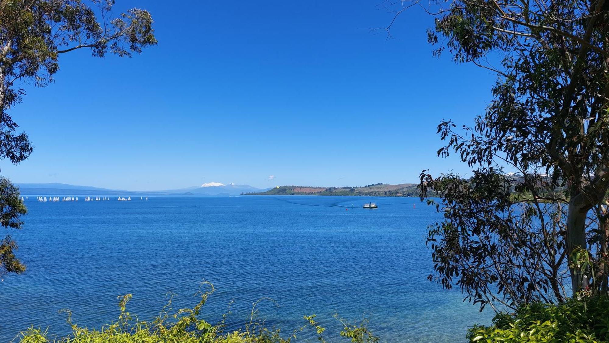 Bed And Breakfast Happy Home Taupo Accommodation エクステリア 写真