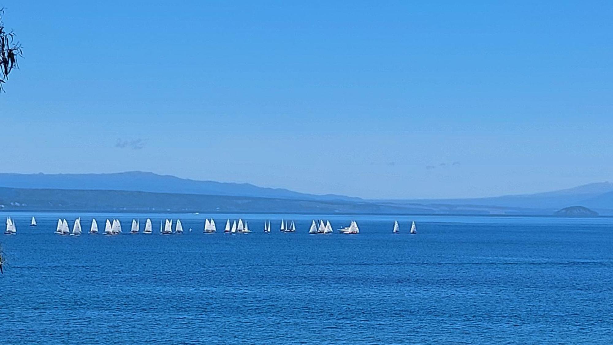 Bed And Breakfast Happy Home Taupo Accommodation エクステリア 写真